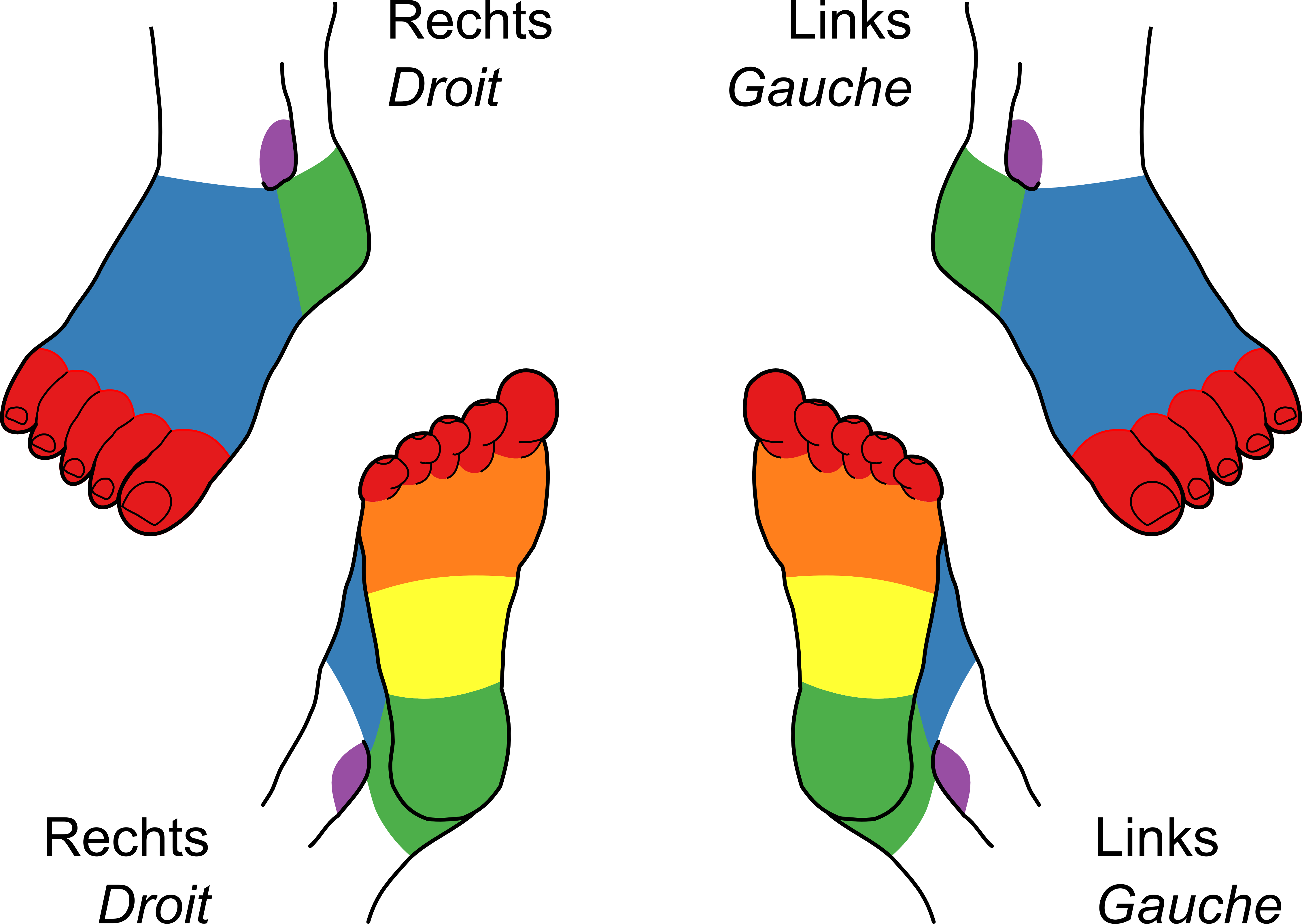 Diabetic foot lesion location chart